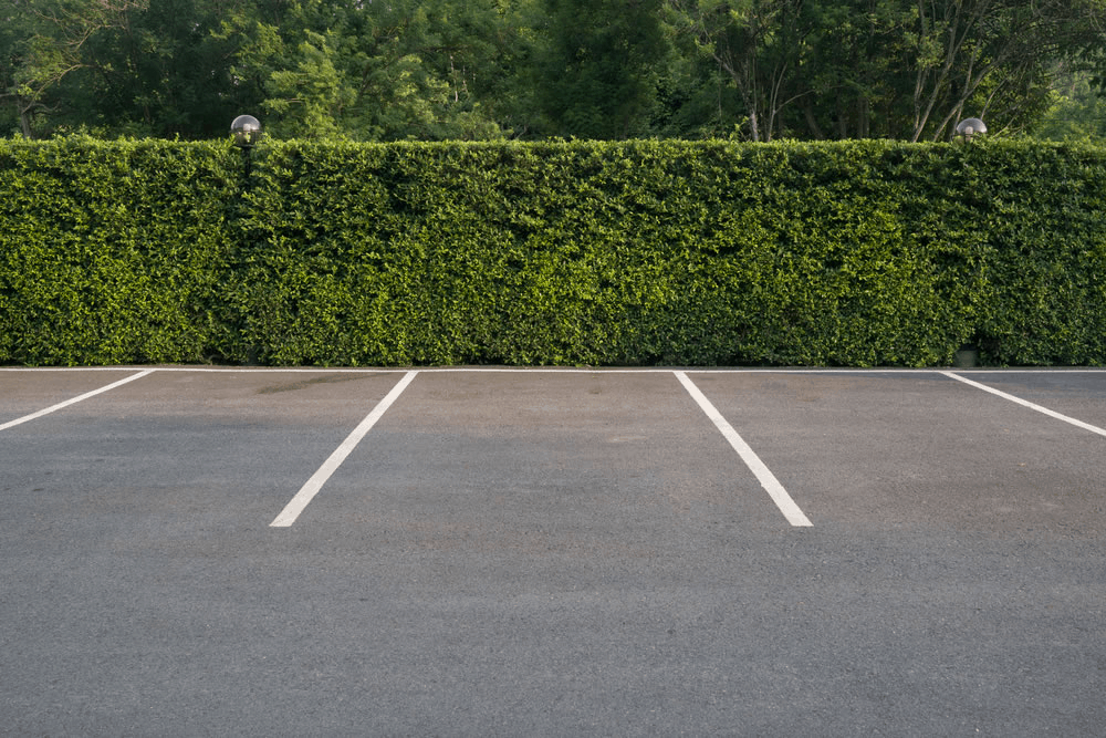 Repaving Parking Lots - West Palm Beach Asphalt Paving Solutions